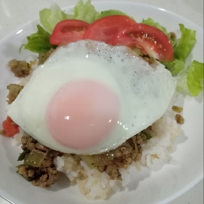 野菜がたっぷり入った美味しいガパオライスができました。バジルの香りがとても良かったです。